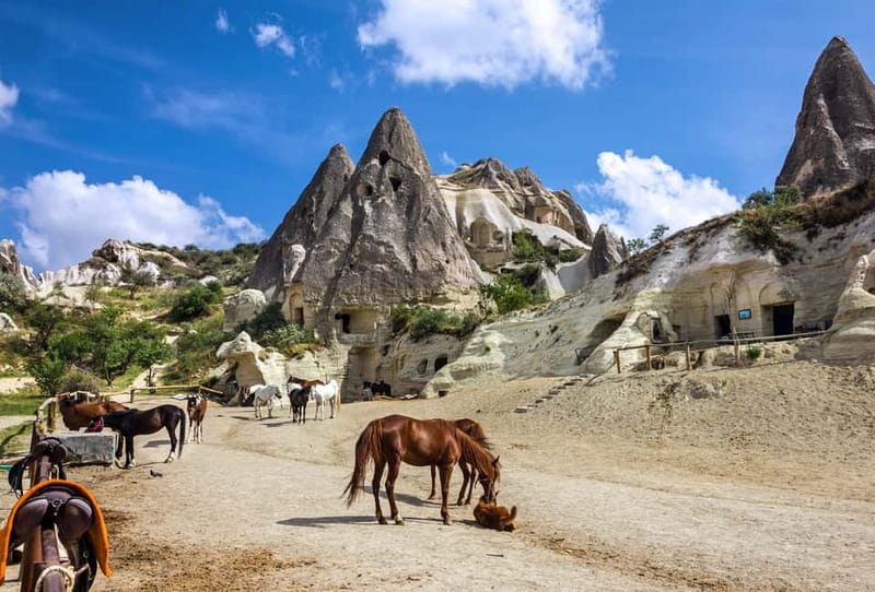 Cappadocia: Göreme Horse Riding, Fairy Chimneys w/Transfer - Meeting the horses and learning the basics