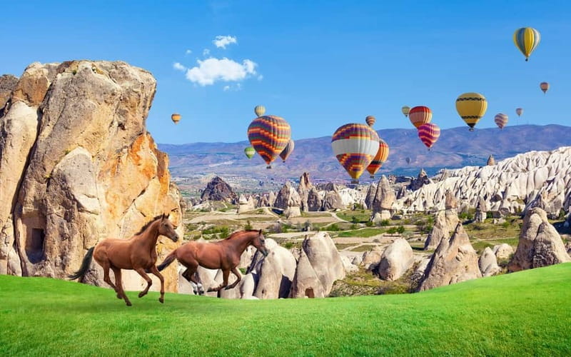Cappadocia: Göreme Horse Riding, Fairy Chimneys w/Transfer - Guide quality and the human side of the ride