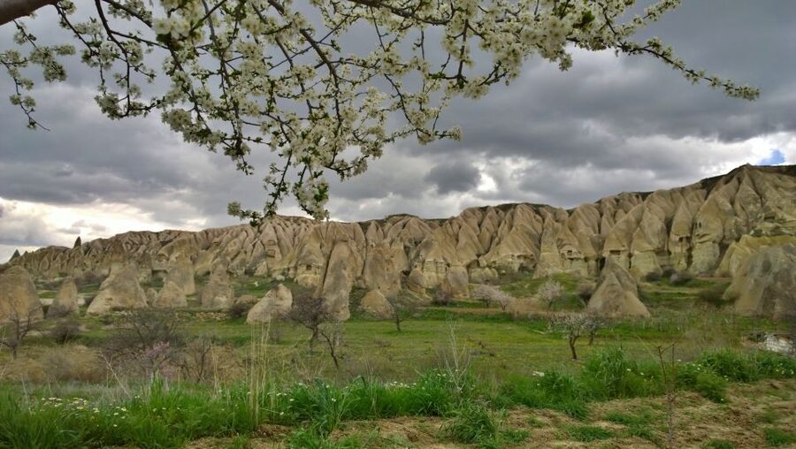 Cappadocia: Highlights Tour with Lunch and Entry Tickets - Comfort, pace, and the real value of $51