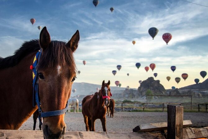 Cappadocia Horse Riding Experience Sunrise Sunset Daytime - Key points to know before you book