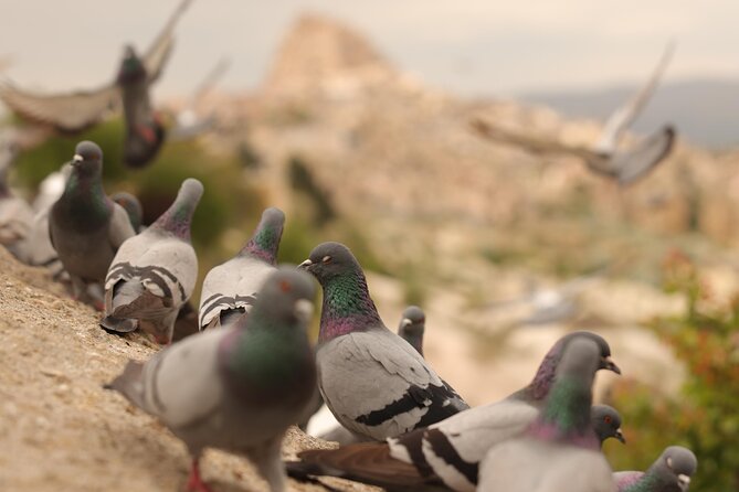 Cappadocia Private Guided Tour(Car&Licensed Guide) - Göreme Panorama starts the day with the big picture