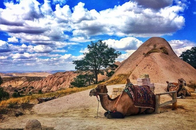 Cappadocia Red Tour (Pro Guide, Tickets, Lunch, Transfer incl) - Zelve Open-Air Museum and cave Christianity