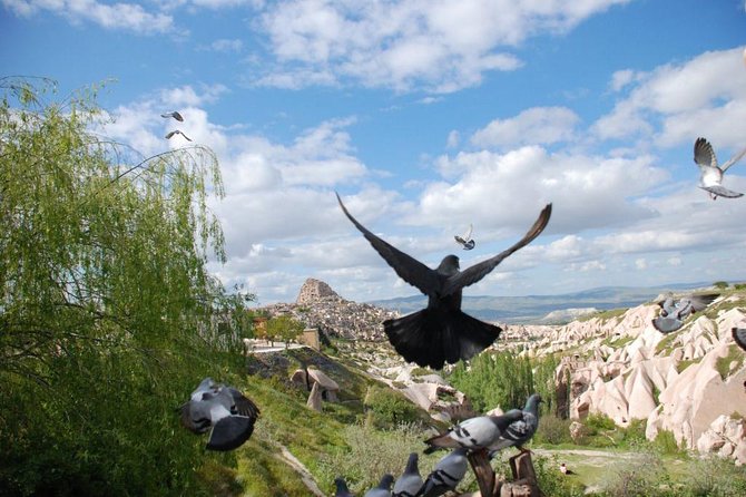 Cappadocia Tour - Pasabag: Cappadocia’s most playful fairy chimneys