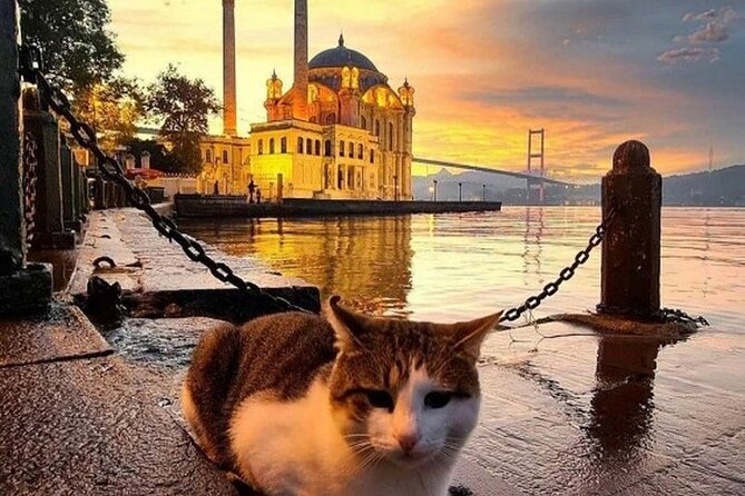 Circle Istanbul (Extraordinary Istanbul) - What the guides add to the day