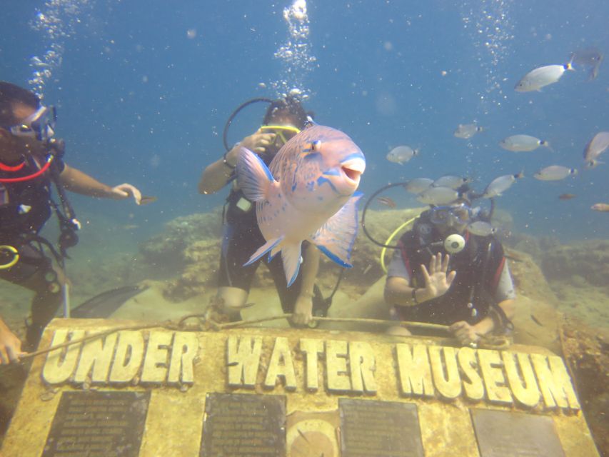 City of Side: Scuba Diving with Lunch - Who will get the most from this Side boat trip