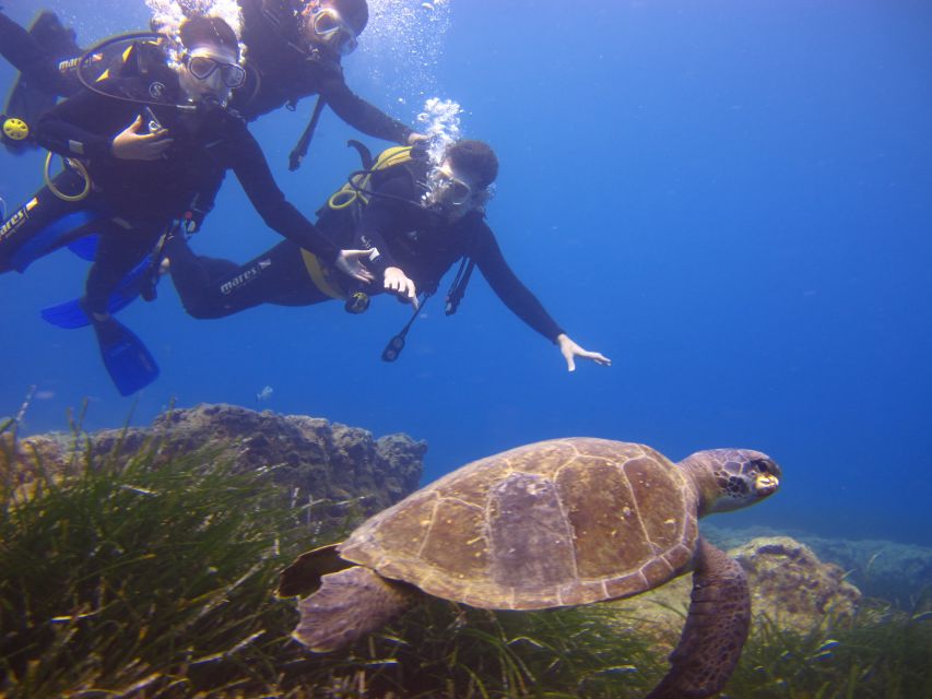 City of Side: Underwater Museum Scuba Diving Visit - Who Will Enjoy This Activity Most