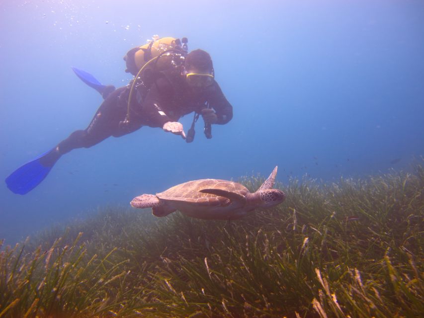 City of Side: Underwater Museum Scuba Diving Visit - Why Side’s Underwater Museum Is Worth Your Time