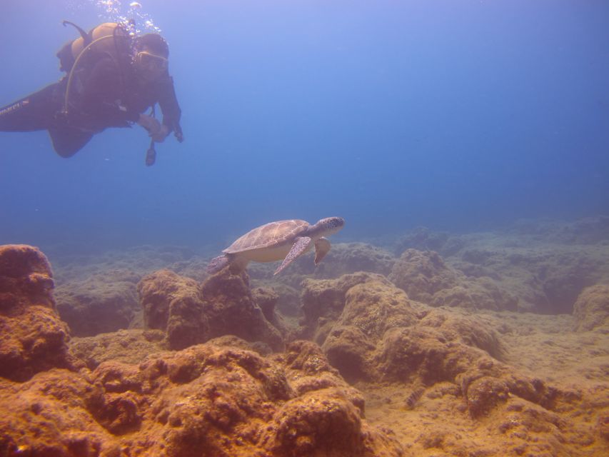 City of Side: Underwater Museum Scuba Diving Visit - The Long Boat Break and Included Lunch