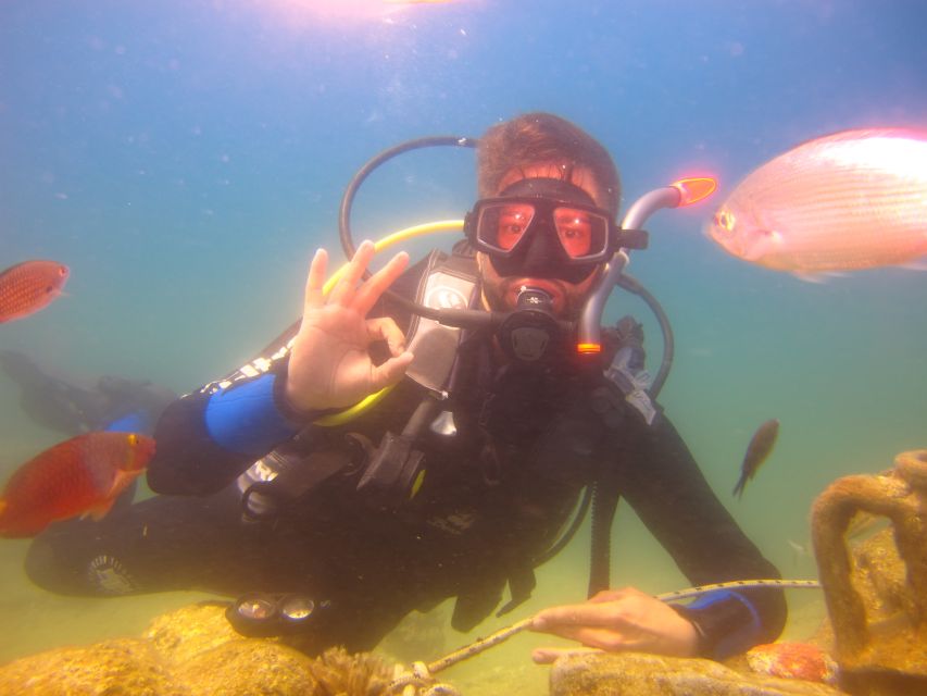City of Side: Underwater Museum Scuba Diving Visit - The Second Session and Marine Life