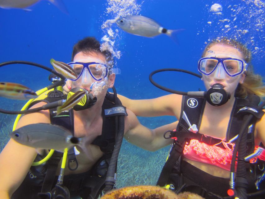 City of Side: Underwater Museum Scuba Diving Visit - How Much Value Do You Get for $50?