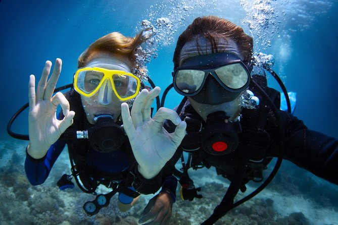 Diving in the Mediterranean sea - Key points to know before booking