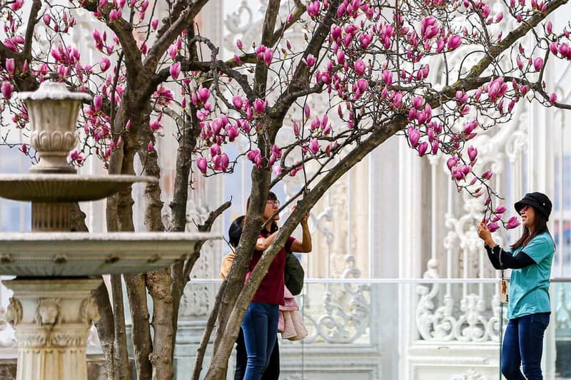 Dolmabahce Palace & Harem Fast-Track Entry with Audio Guide - The gardens make a good first stop