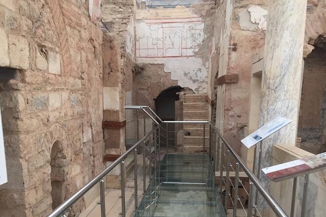 Ephesus Private/MINI Group Tours Terrace Houses Option Skip Lines - Who will enjoy this tour most