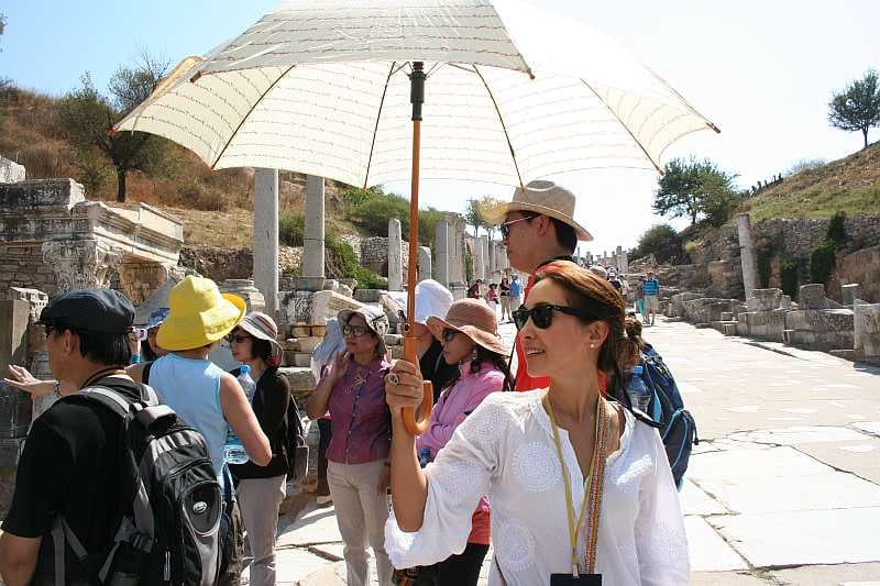 Ephesus: Small Group Tour for Cruise Passengers - Who should book this Ephesus tour?
