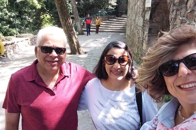Ephesus Temple of Artemis and House of Mary Private Half Day Tour - Why this private Kusadasi tour works well for cruise day
