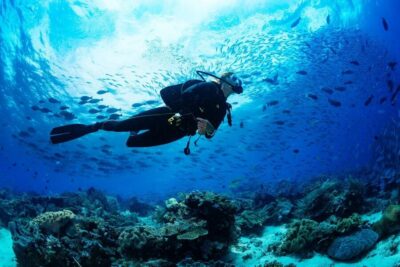 Professional Scuba Diving with Lunch