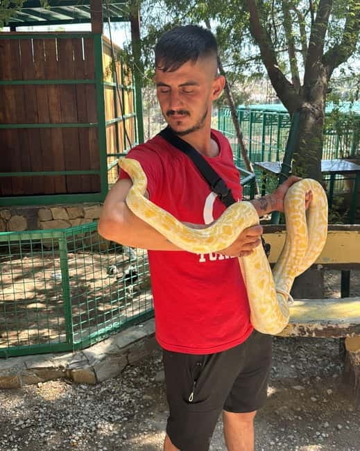 From Alanya: Lion Safari & Green Canyon Splash Feast w/Lunch - A six-and-a-half-hour day with two different moods