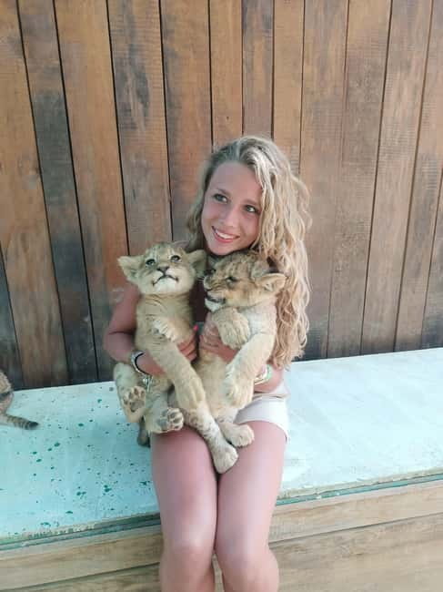 From Alanya: Lion Safari & Green Canyon Splash Feast w/Lunch - The 45-minute lion and animal stop