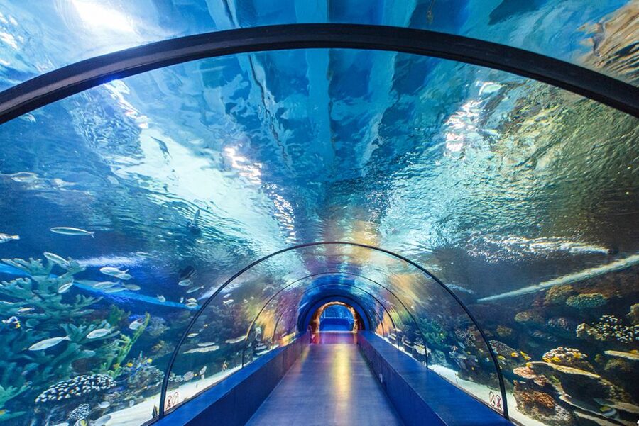 From City of Side: Antalya Aquarium Tour, Ticket & Transfer - Key points before you book