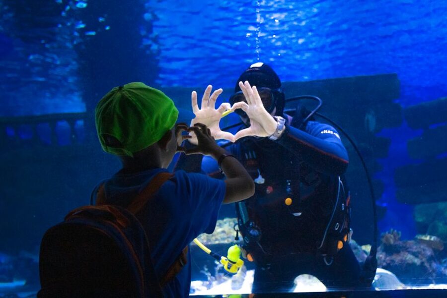 From City of Side: Antalya Aquarium Tour, Ticket & Transfer - The real shape of this Side to Antalya day trip