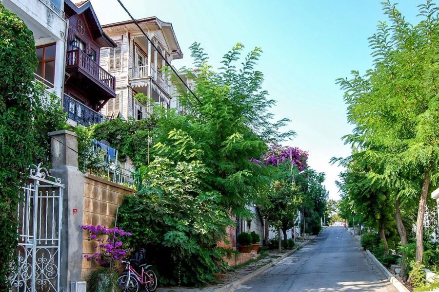 From Istanbul: Full-Day Princes Island Tour with Lunch - Kınalıada: a short first taste of island life