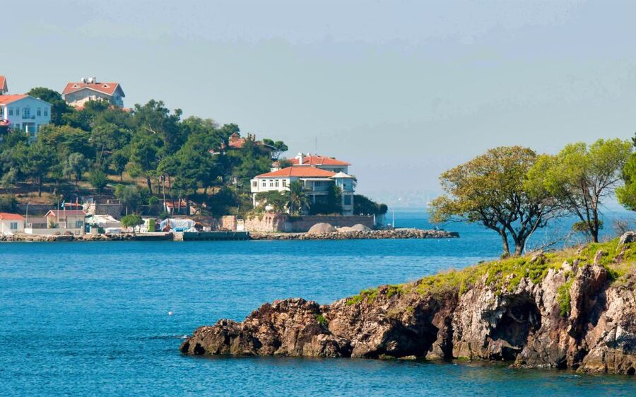 From Istanbul: Full-Day Princes Island Tour with Lunch - Who should book this island tour?