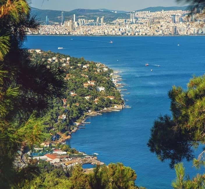 From Istanbul: Princes Island Tour with 2 Islands - Electric-car sightseeing, with an extra charge