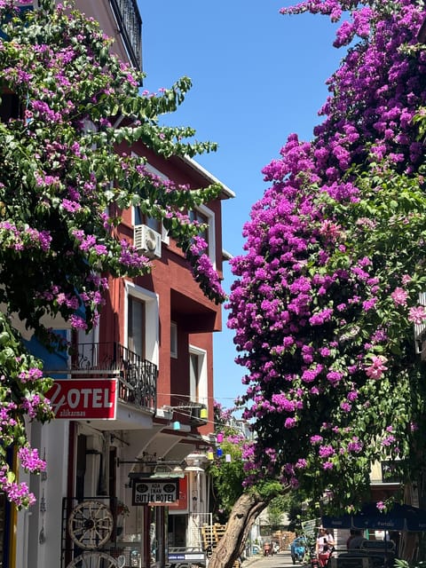 From Istanbul: Princess Islands Guided Tour - Heybeliada: one hour for a first taste