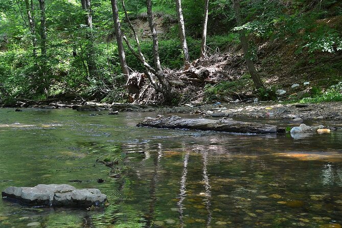 From Istanbul: Sapanca and Masukiye Day Trip with Lunch - The opening stop: zoo, aquarium, or sea route