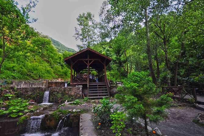 From Istanbul: Sapanca and Masukiye Day Trip with Lunch - Mahmudiye Village and the optional outdoor activities