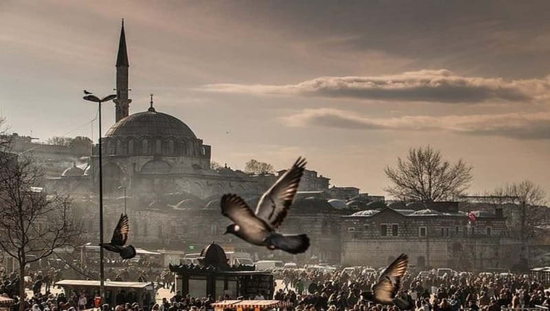 Full Day Istanbul 1, 2 or 3-Day Private City Guided Tour - Why a private Istanbul tour can work so well