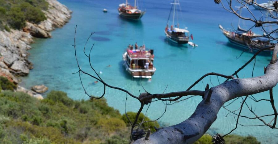 Full-Day Orak Island Boat Trip from Bodrum - Why Orak Island works so well as a day trip