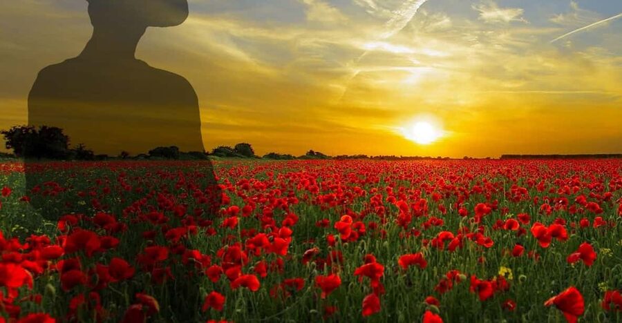 Gallipoli Full-Day Tour from Istanbul - Arı Burnu Cemetery and the Turkish memorial