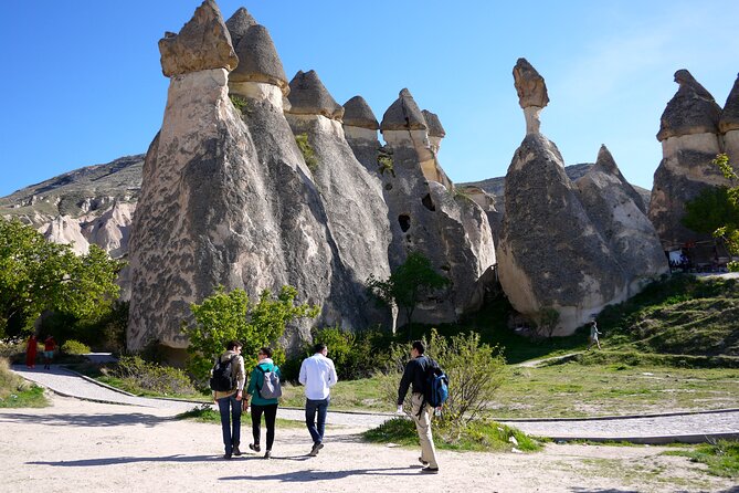 Highlights of Cappadocia All in One Tour - Devrent Valley: rock shapes and a little imagination