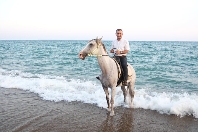 Horse back Riding in Antalya - Beginners will feel more at ease than experienced riders