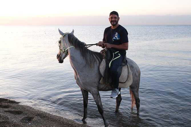 Horse back Riding in Antalya - The forest trail comes first