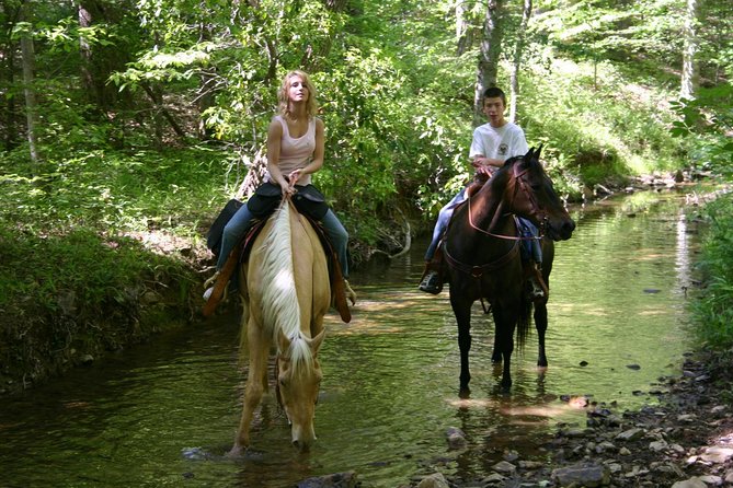 Horse Riding Experience in Marmaris with Transfer - Key points before you saddle up