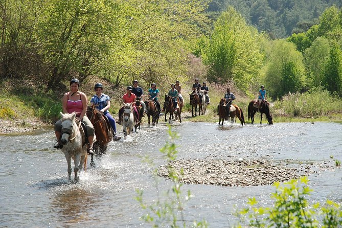 Horse Riding Experience in Marmaris with Transfer - Why this Marmaris ride works for first-timers