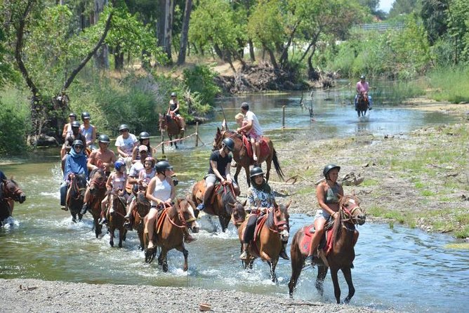 Horse Riding Experience in Marmaris with Transfer - Is $12.07 good value?
