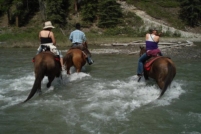 Horse Riding Experience in Marmaris with Transfer - Arriving at Pinar Horse Safari