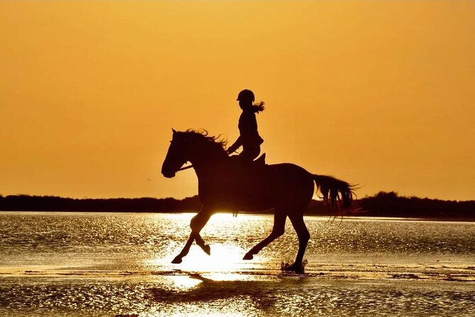 Horse Riding in Manavgat Side Forest and Beach - Key points at a glance