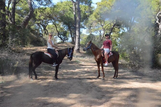 Horse Riding in Manavgat Side Forest and Beach - Pickup from Side and the ride to Manavgat