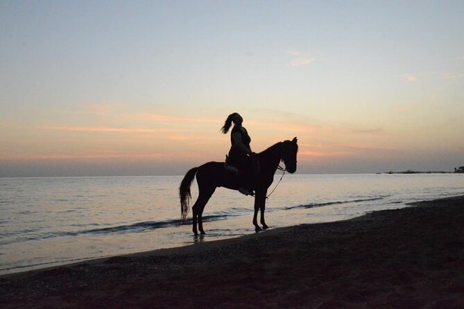 Horse Riding in Manavgat Side Forest and Beach - Choosing the forest and river route