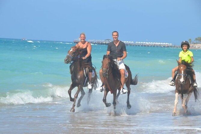 Horse Riding in Manavgat Side Forest and Beach - Meeting the horses and getting basic instruction
