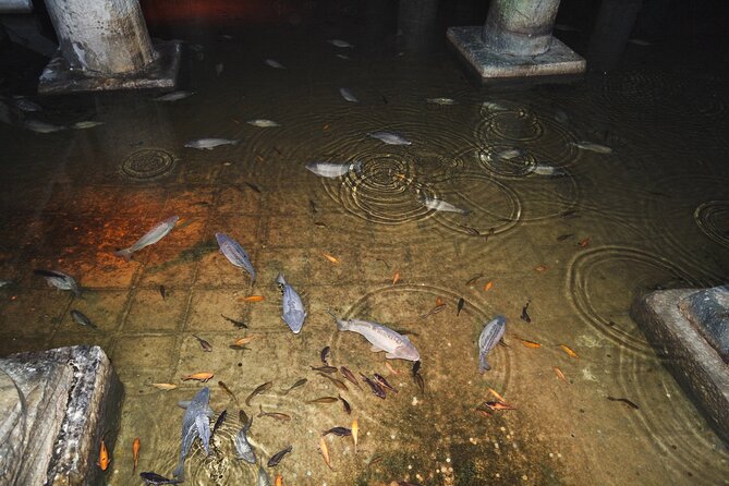 Istanbu City Walk: Topkapi Palace, Harem, & Basilica Guided Tour - Meeting at the Fountain of Sultan Ahmed III