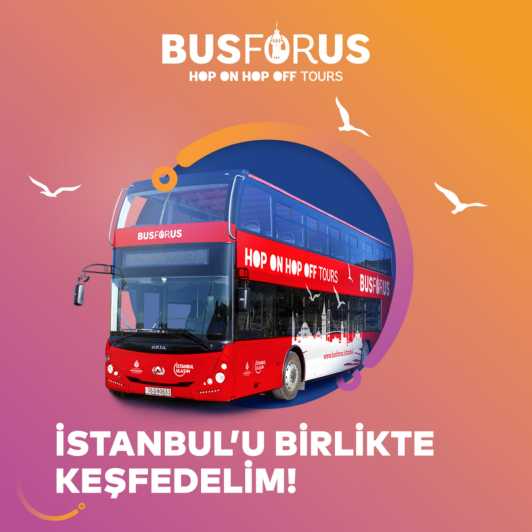 Istanbul: 48-Hour Hop-On Hop-Off Double Decker Bus Ticket - Key points to know before boarding