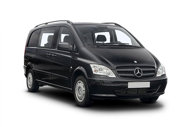 Istanbul Airport Private Arrival Transfer - The wait is the main risk