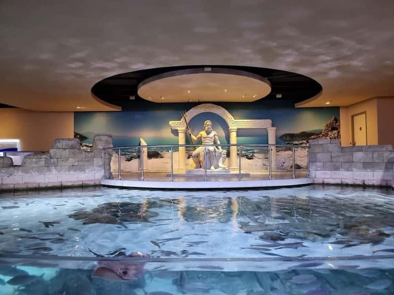 Istanbul: Aquarium Ticket and Round Trip Shuttle from Taksim - Small Details That Make the Day Easier