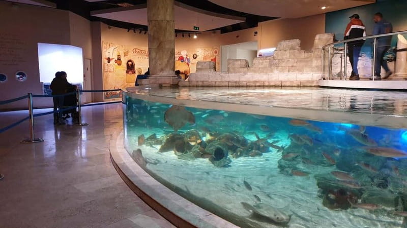 Istanbul: Aquarium Ticket and Round Trip Shuttle from Taksim - Who Will Enjoy This Most?