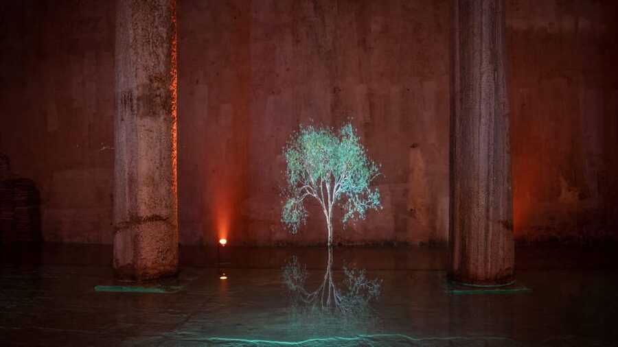 Istanbul: Basilica Cistern Skip-the-Ticket-Line Guided Tour - Who should book this tour?